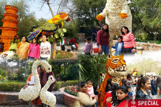 33rd Tourism Garden Festival was organized by Delhi Tourism at Garden of Five Senses