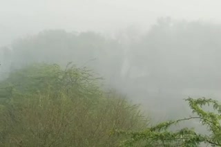 Shadow fog in Rewari in month of March