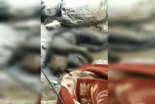 dead body found in parvati river