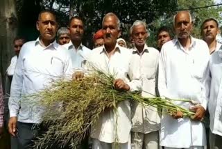 farmer protest in rewari