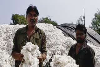 cotton mill yavatmal