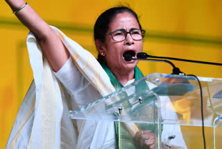 Delhi violence state-sponsored planned genocide: Mamata