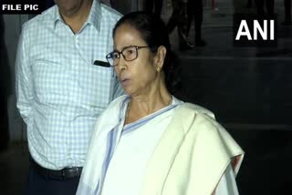 mamata banerjee