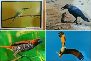 Photography exhibition in Shivamoga