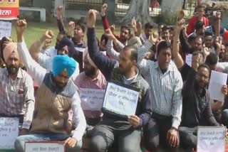 professor protest against punjab government in malerkotla