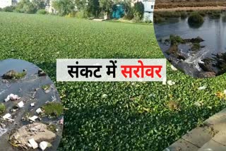 ponds condition got worse in raigarh