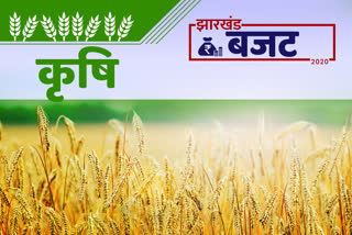 झारखंड बजट 2020, झारखंड का बजट, झारखंड बजट 2020-21, Jharkhand Budget, Jharkhand Budget 2020, Jharkhand Budget 2020-21, कृषि के लिए बजट