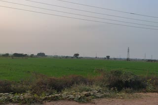 Lal Dora free villages yamunanagar