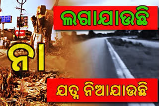 thousand-of-tree-cut-down-by-bargarh-dist-administration-for-road-construction