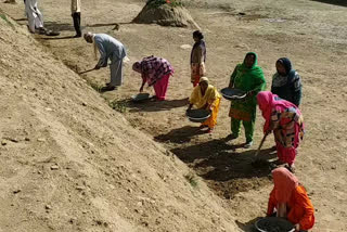 Women made a big pond in forest at nahan