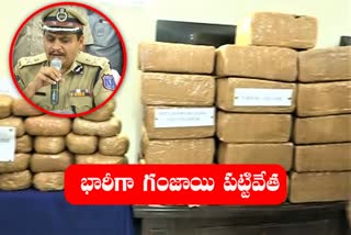 Police seized 450 kg of cannabis