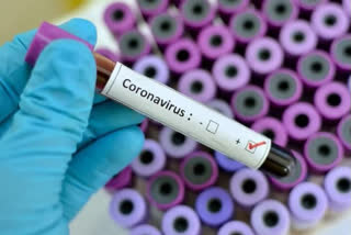 UP couple admitted in Odisha hospital for suspected coronavirus