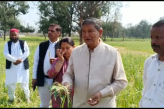 Harish Rawat