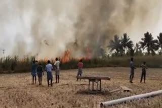 Sugarcane lands fire