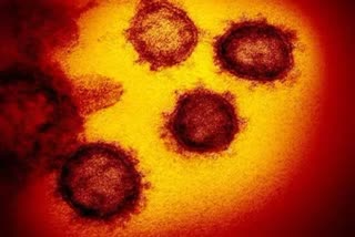 Coronavirus