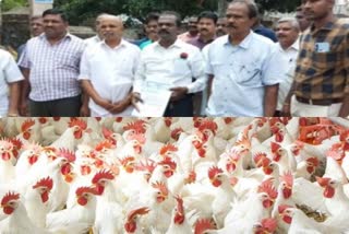 Corona for chickens businessmen demanding action on rumors