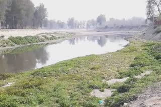 radaur yamuna river repair work