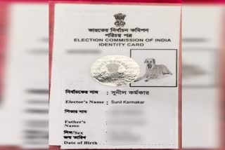 Voter Card