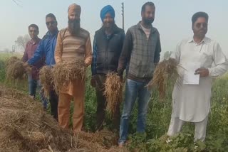 farmers protest against government in barnala