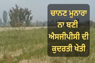 ਫੋਟੋ