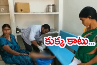 కుక్క ధాటికి భయాందోళనలో సంగారెడ్డి