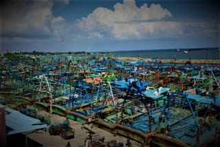 தூத்துக்குடி மீனவர்கள் வேலைநிறுத்தம் தூத்துக்குடி துறைமுக மீனவர்கள் வேலைநிறுத்தம் மீனவர்கள் வேலைநிறுத்தம் Thoothukudi fishermen strike Fishermen strike at Thoothukudi port fishermen strike