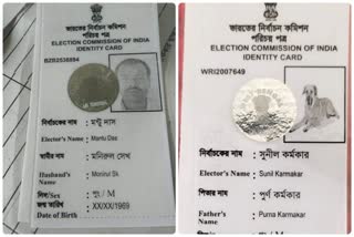 Bengal man gets picture of dog on his voter ID