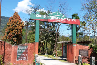Arunachal pradesh have 600 above varities Orchid