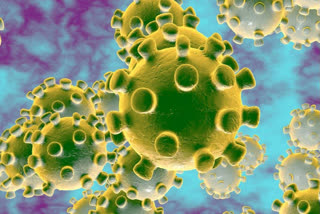 چین:کورونا  وائرس سے 3012 افراد ہلاک
