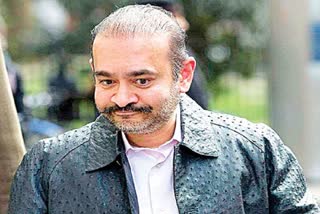 UK court rejects Nirav Modi's bail plea for fifth time