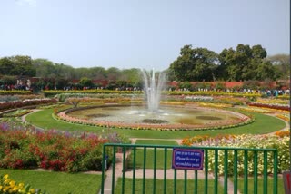 mughal garden