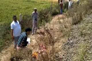 dead-body-of-elderly-woman-found-near-railway-track