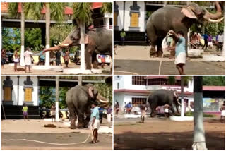 തൃശൂർ ഒളരി ക്ഷേത്രത്തിൽ ആനയിടഞ്ഞു തൃശൂർ Olari temple thrissur Elephant rampage