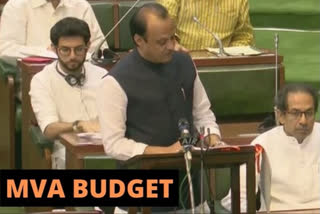 MVA Budget: One stop scheme for farmers, VAT increased on petrol and diesel