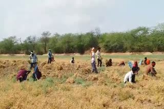 बेमौसम बरसात, Unseasonal rain