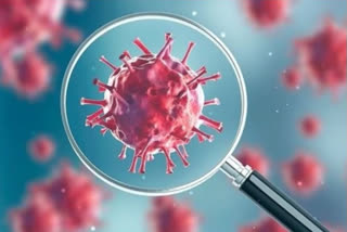 'Potential drug target against coronavirus infection identified'