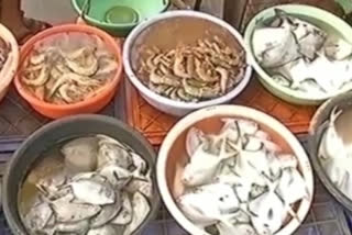 Fish exports declined by 30 to 40 percent due to corona viruses
