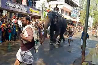 ഗുരുവായൂര്‍ ആനയോട്ടം  guruvayoor elephant race  aanayottam  guruvayoor temple news  ഗോപീകണ്ണൻ