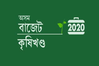 অসম বাজেট 2020 : কৃষকে কি পালে বাজেটত !