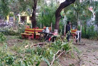 Heavy rain and hailstorm in Bhind