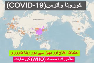 كووڈ -19 سے مرنے والوں کی تعداد 3300 تجاوز کر گئی