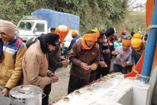 hola mohalla festival  organized in mandi