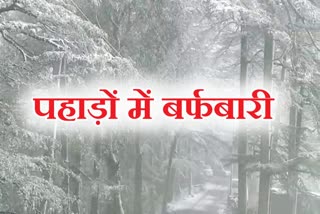 snowfall in shimla