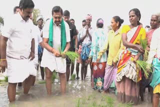 Palanisamy in farmland