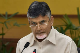 chandrababu tele conference on Local body Elections