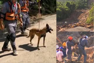 The number of Brazilians missing in the wake of deadly landslides on the coast of Sao Paulo state rose to 46 this week.