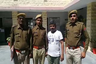 rape accused arrested, जोधपुर न्यूज