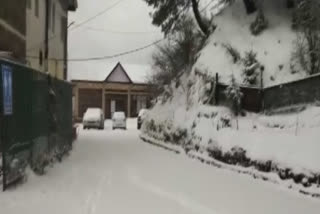 Narkanda receives fresh snowfall