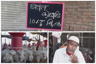 amravati chicken rate