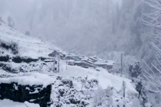 snowfall and rain in Kullu